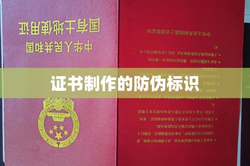 伊吾证书制作的防伪标识