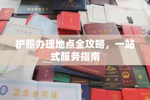 伊吾护照办理地点全攻略，一站式服务指南