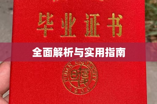 伊吾全面解析与实用指南