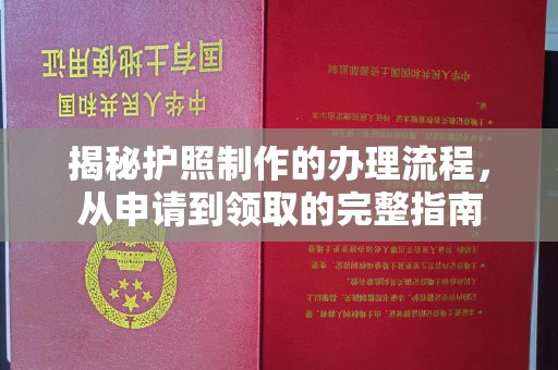 伊吾揭秘护照制作的办理流程，从申请到领取的完整指南
