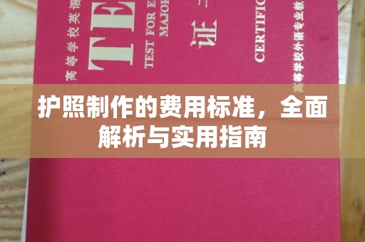 伊吾护照制作的费用标准，全面解析与实用指南