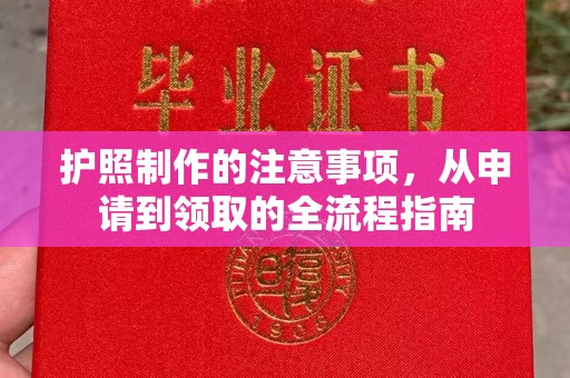 伊吾护照制作的注意事项，从申请到领取的全流程指南